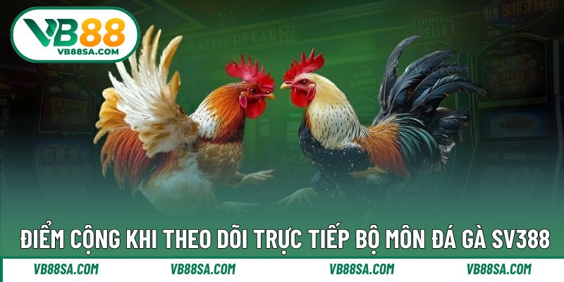 Điểm cộng trong mỗi trận thi đấu chiến kê SV388